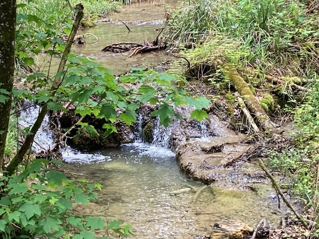 Reinigung im Frühling